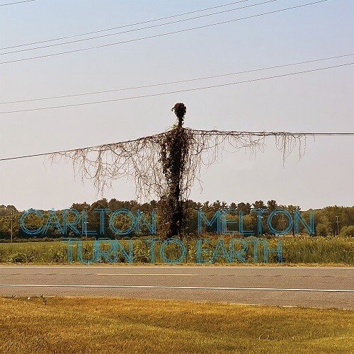 Carlton Melton - Turn To Earth (Blue) [Colored Vinyl] (Grn) (Post)