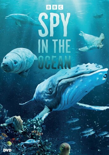Spy in the Ocean - Spy In The Ocean / (Mod)