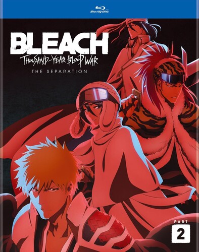 Bleach: Thousand-year Blood War Part 2