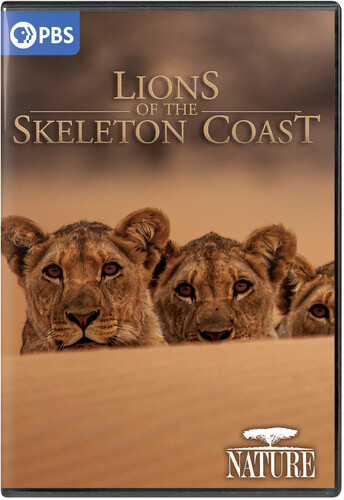 NATURE: Lions of the Skeleton Coast