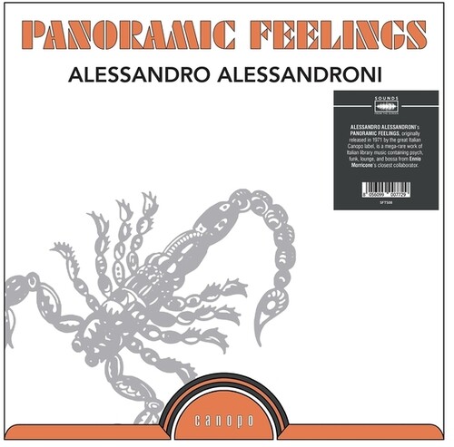 Alessandro Alessandroni - Panoramic Feelings vinyl record cover