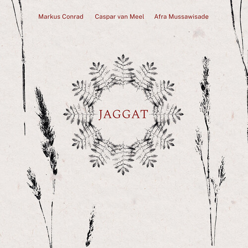 Jaggat (vinyl)