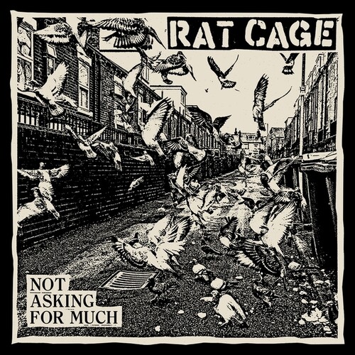 Rat Cage - Not Asking For Much vinyl record cover