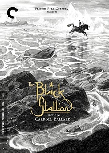 The Black Stallion (Criterion Collection)