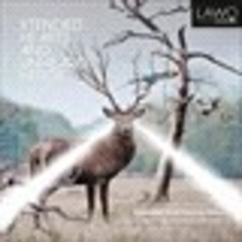 Xtended Hearts & Unheard Herds