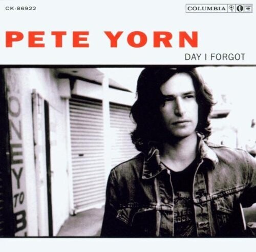 Pete Yorn - Day I Forgot vinyl record cover
