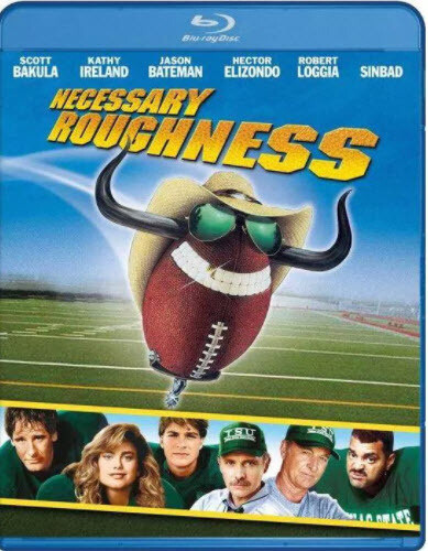 Necessary Roughness