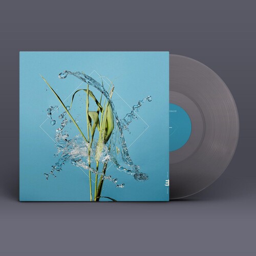 Stream
