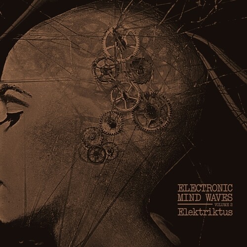 ELECTRONIC MIND WAVES VOLUME 2