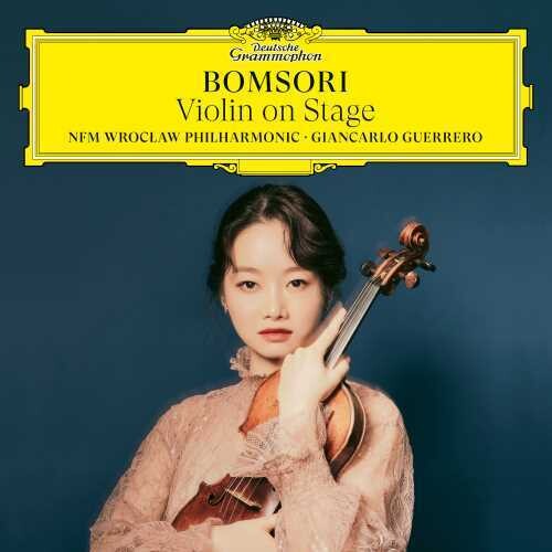 Violin on Stage