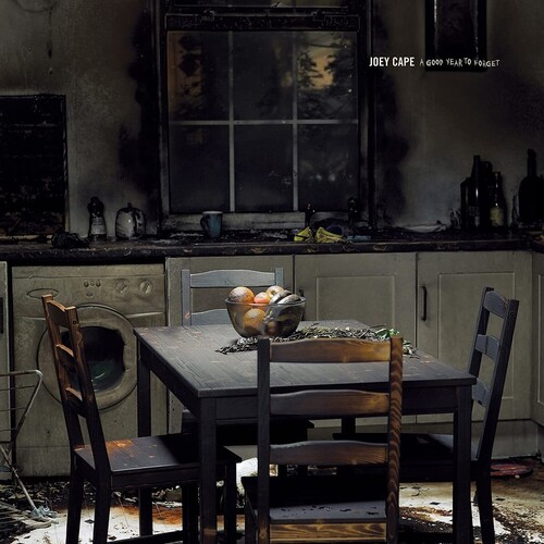 Joey Cape - Good Year To Forget