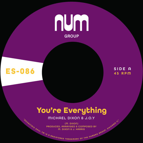 You're Everything B/ w You're All I Need - Purple
