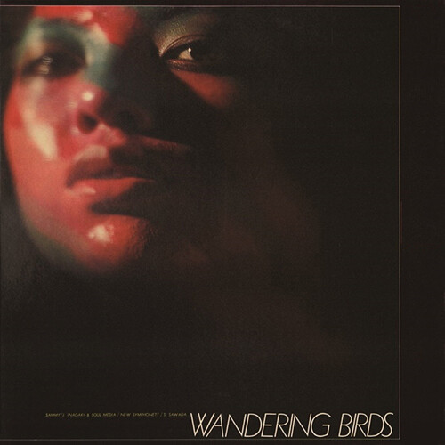 Jiro Inagaki  / Soul Media - Wandering Birds (Gate) vinyl record cover
