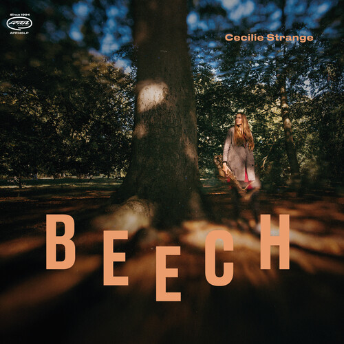 Beech