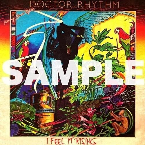 Doctor Rhythm - I Feel It Rising vinyl record cover
