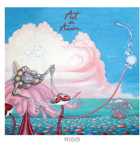 Art In America - Rise vinyl record cover
