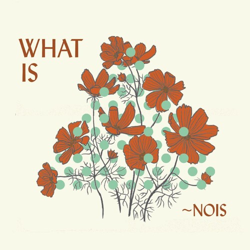 Nois - What Is Nois vinyl record cover