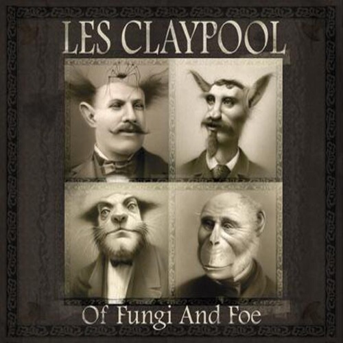 Of Fungi and Foe