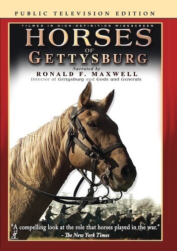 Horses of Gettysburg