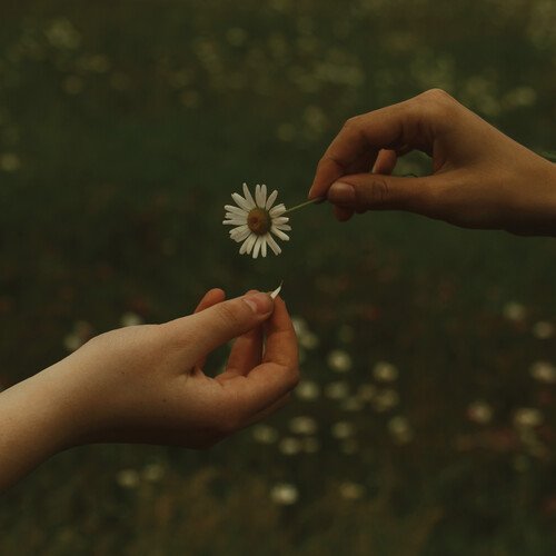 Goldmund - The Time it Takes (Transparent Marigold Orange Vinyl)