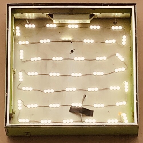 Oso Oso - Basking In The Glow [LP]