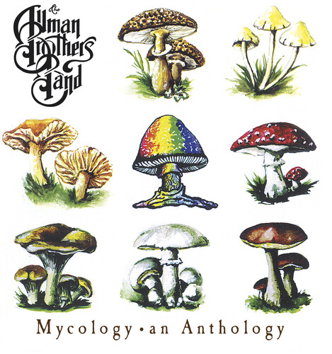 The Allman Brothers Band - Mycology: An Anthology