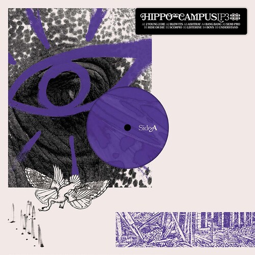 Hippo Campus - LP3 vinyl record cover