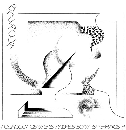 Pourquoi certains arbres sont si grands