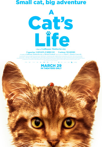 Cat's Life