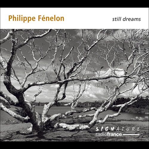 Fenelon: Still Dreams