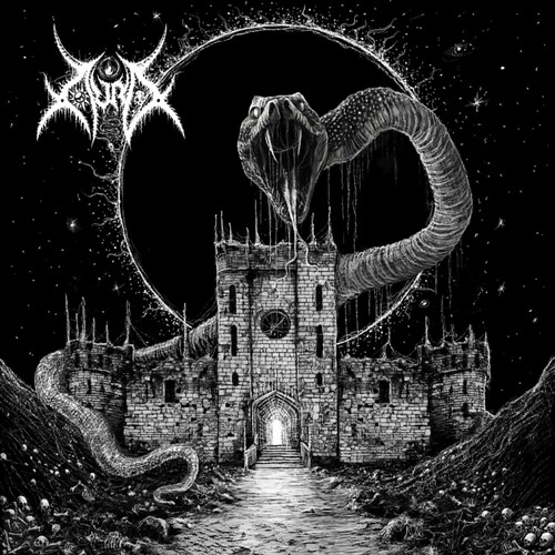 Im Schatten Der Bastion