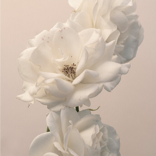 Turn The Light On: Acoustic Reimagination V2