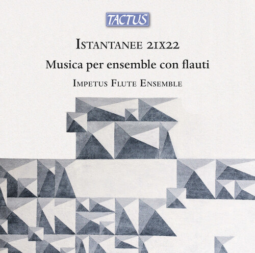 Istantanee 21x22 (music for ensemble with flutes)