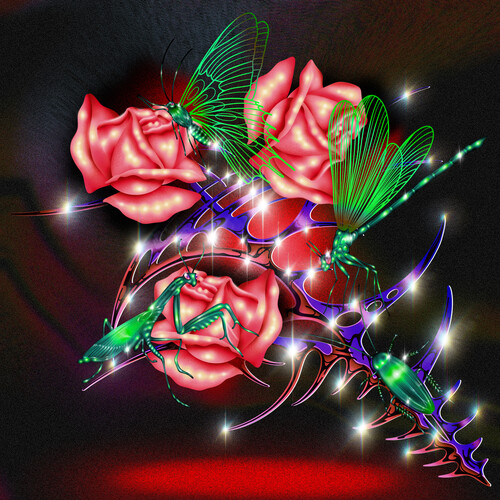 Gully Boys - Red/Black