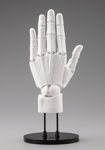 ARTIST SUPPORT ITEM HAND MODEL MENS LG WHITE