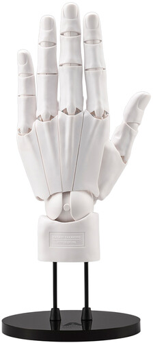 ARTIST SUPPORT ITEM HAND MODEL MENS LG WHITE