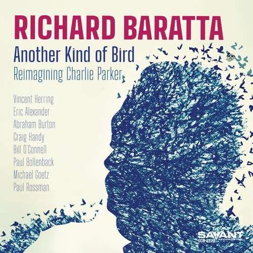 Richard Baratta - Another Kind Of Bird vinyl record cover
