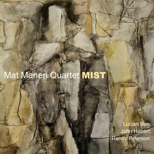 Mat Maneri - Mist vinyl record cover