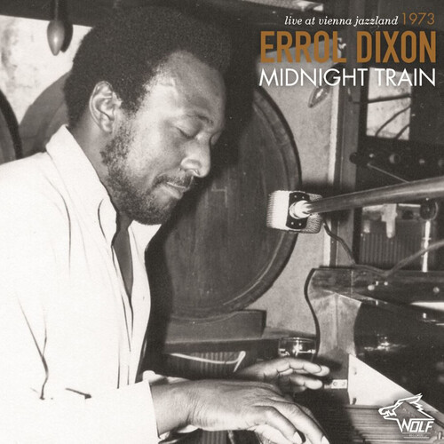 Blues & Piano Boogie Woogie Midnight Train