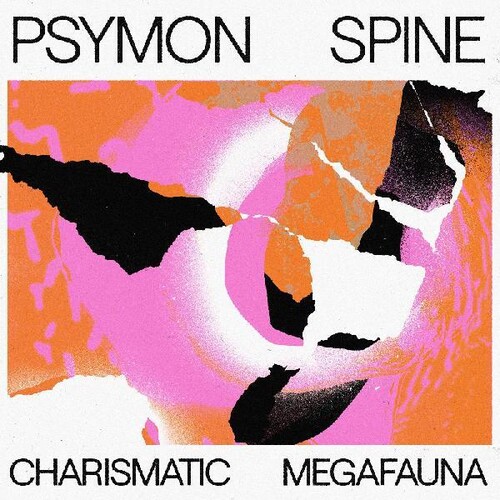 Psymon Spine - Charismatic Megafauna vinyl record cover