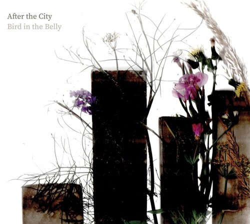 Bird in the Belly - After The City