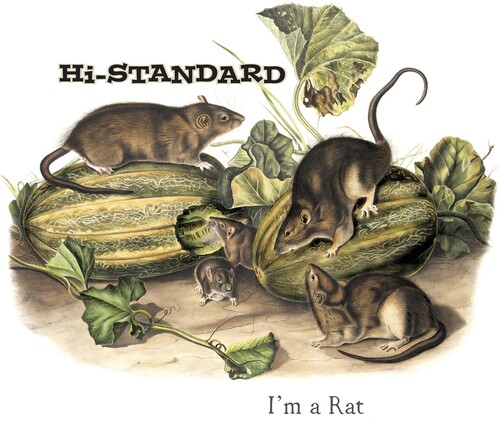 I'm A Rat