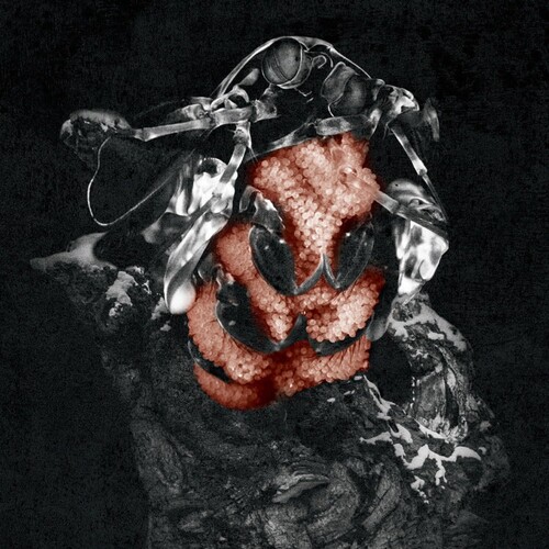 Gloom [Import]