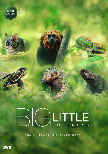 Big Little Journeys - Big Little Journeys / (Mod)