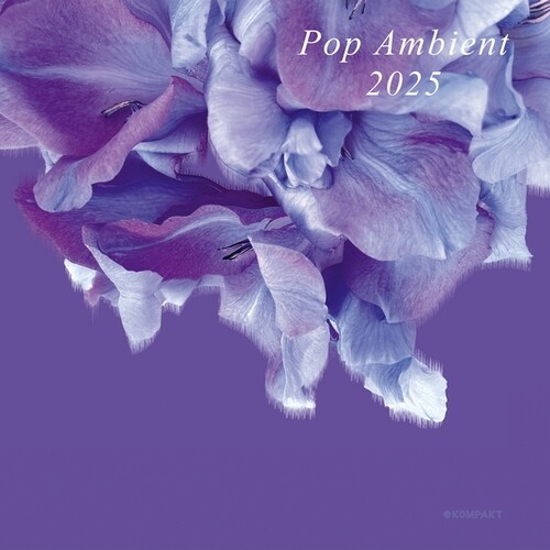 Pop Ambient 2025
