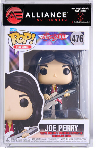AEROSMITH JOE PERRY