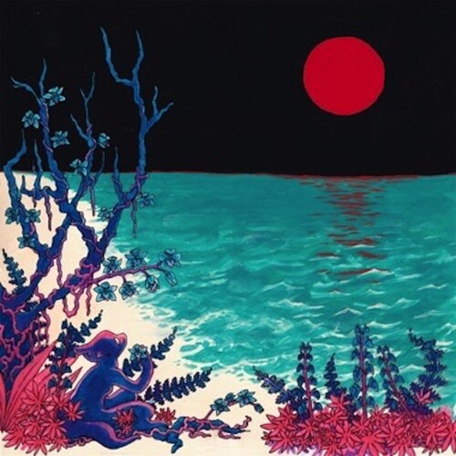 glass beach - the first glass beach album vinyl record cover