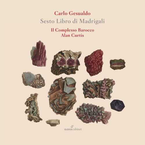 Gesualdo / Il Complesso Barocco / Curtis - Sesto Libro De Madrigali