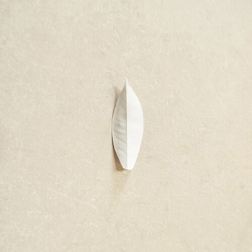 The Complexity of the Simple