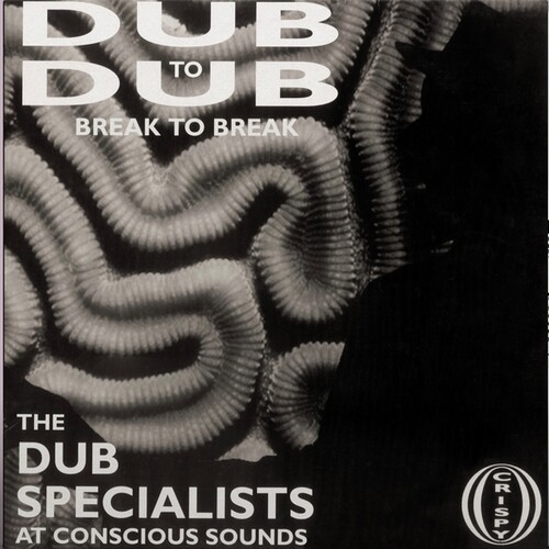 Dub Specialists - Dub To Dub Break To Break vinyl record cover